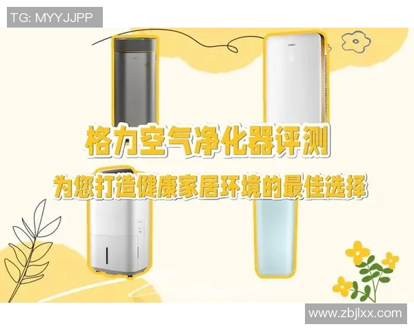 空气净化器选购与使用全攻略，提升室内空气质量打造健康生活环境